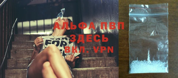 стафф Аркадак
