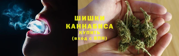 ПСИЛОЦИБИНОВЫЕ ГРИБЫ Арсеньев