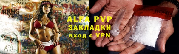 ПСИЛОЦИБИНОВЫЕ ГРИБЫ Арсеньев