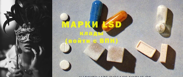 ПСИЛОЦИБИНОВЫЕ ГРИБЫ Арсеньев