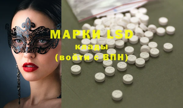 ПСИЛОЦИБИНОВЫЕ ГРИБЫ Арсеньев