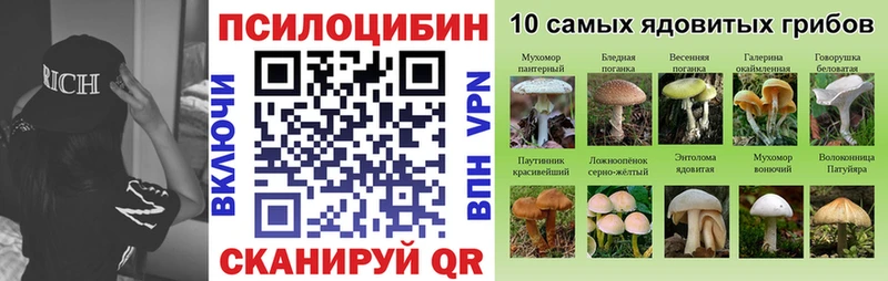 купить Боровск МЕГА сайт Псилоцибиновые грибы Psilocybine cubensis